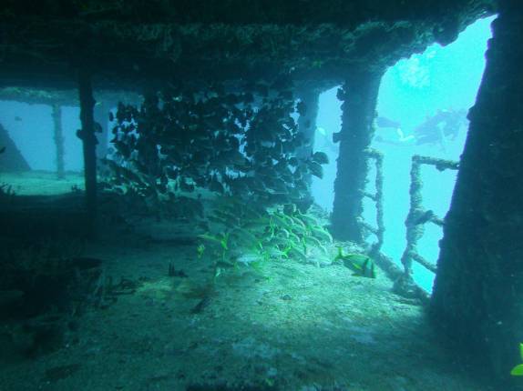 Peixes nadam no interior de barco naufragado em Isla Mujeres, no litoral do Yucatán, no sul do México